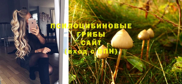 марки lsd Каменка
