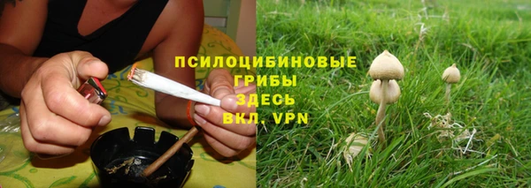 mdma Каменногорск
