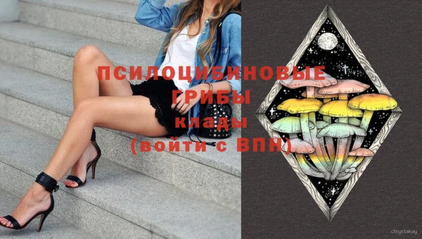 mdma Каменногорск