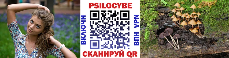 Галлюциногенные грибы MAGIC MUSHROOMS  Купить  Дигора 